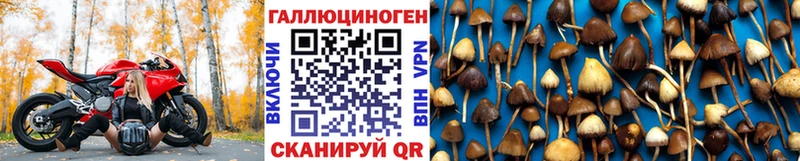 купить закладку  Евпатория  Галлюциногенные грибы Magic Shrooms 